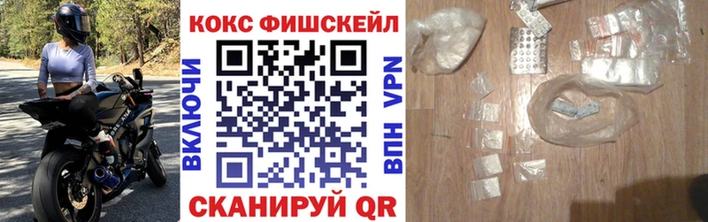 Кокаин Fish Scale  купить закладку  Сурск 