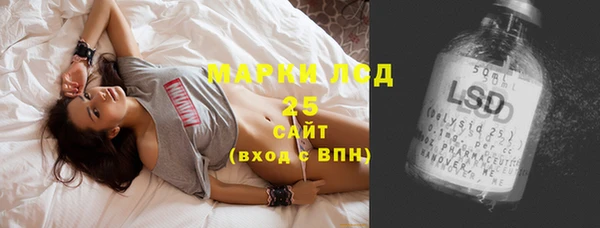 сатива Аркадак
