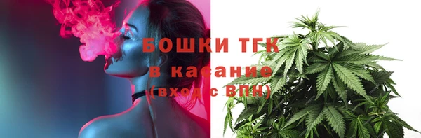 сатива Аркадак