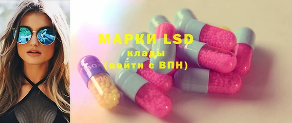 сатива Аркадак