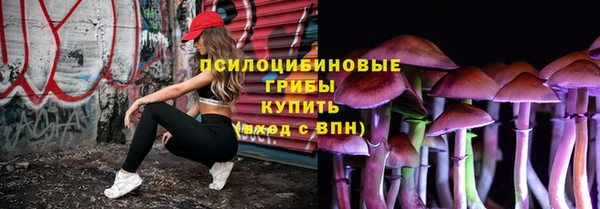 кокс Арсеньев