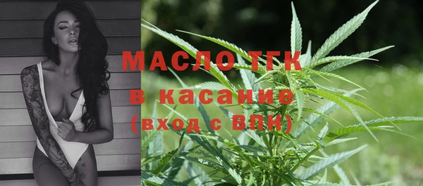 сатива Аркадак
